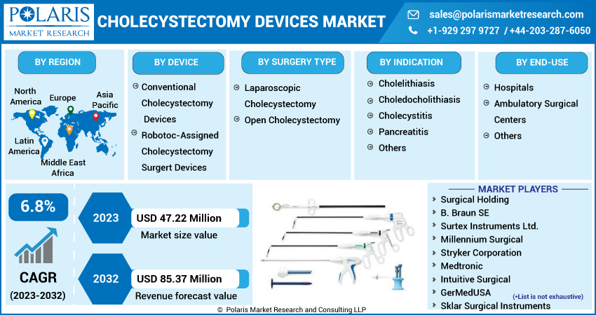  Cholecystectomy Devices Market Share 2023